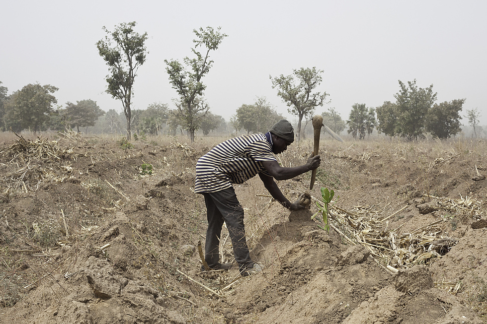 Burkina Faso L ins curit Alimentaire Sahel Intelligence