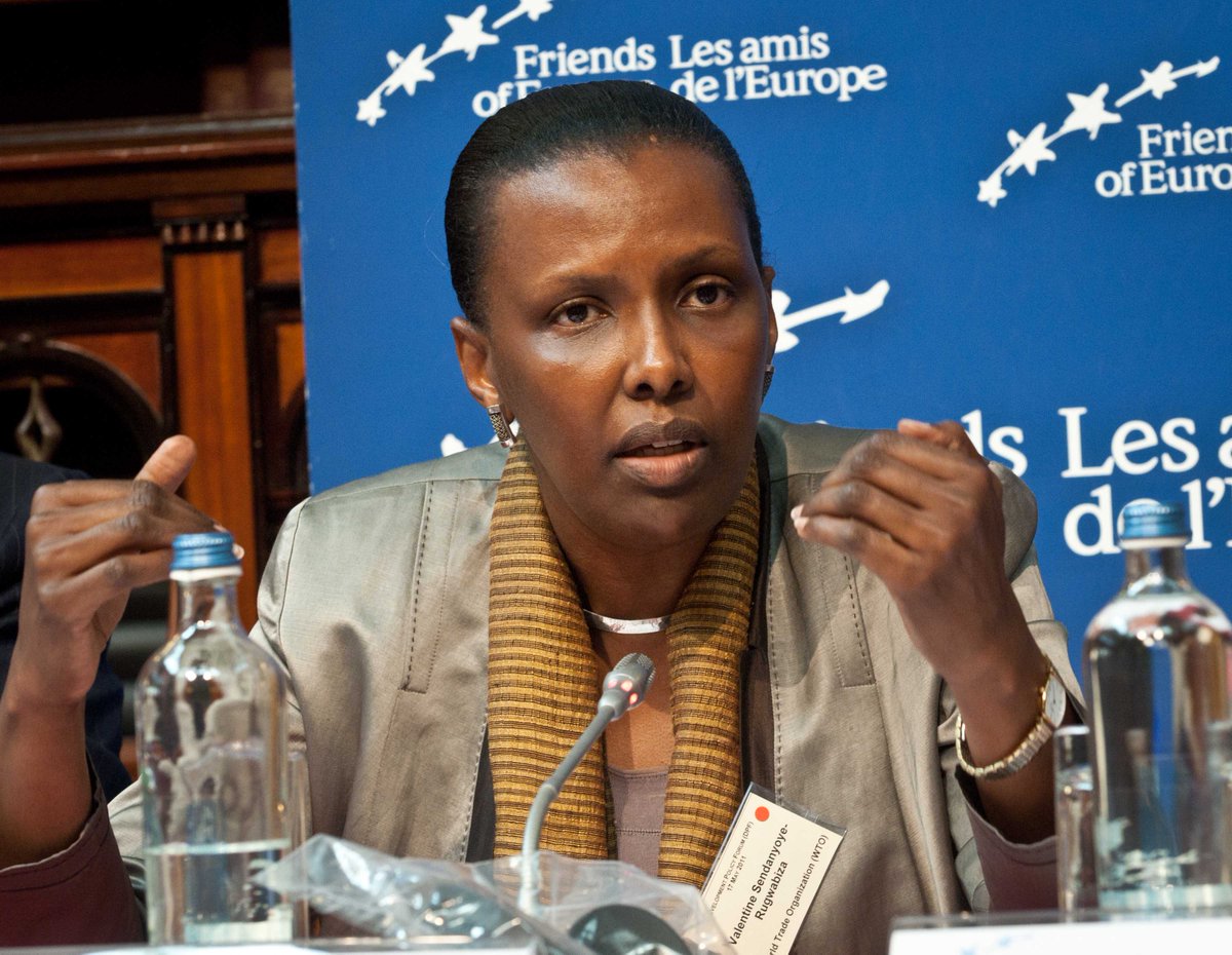 ONU La mission onusienne en République centrafricaine Sahel