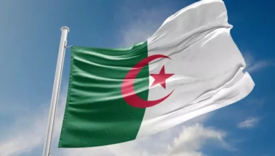 Algérie : Qui dirige le pays, Abdelmadjid Tebboune et Boualem Boualem ou Saïd Chengriha ?